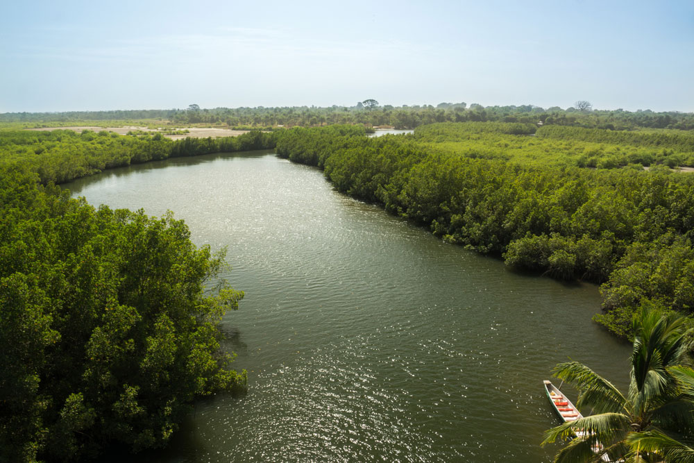 See the green side of the Gambia