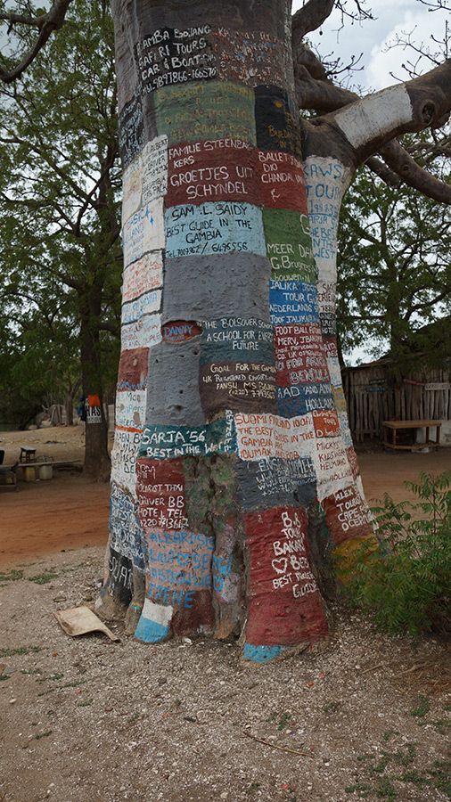 Lamin Lodge: The internet tree :-)